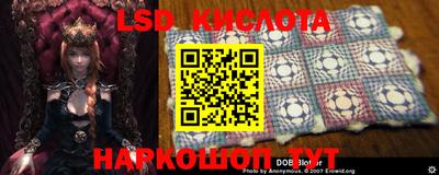 2c-b Кандалакша