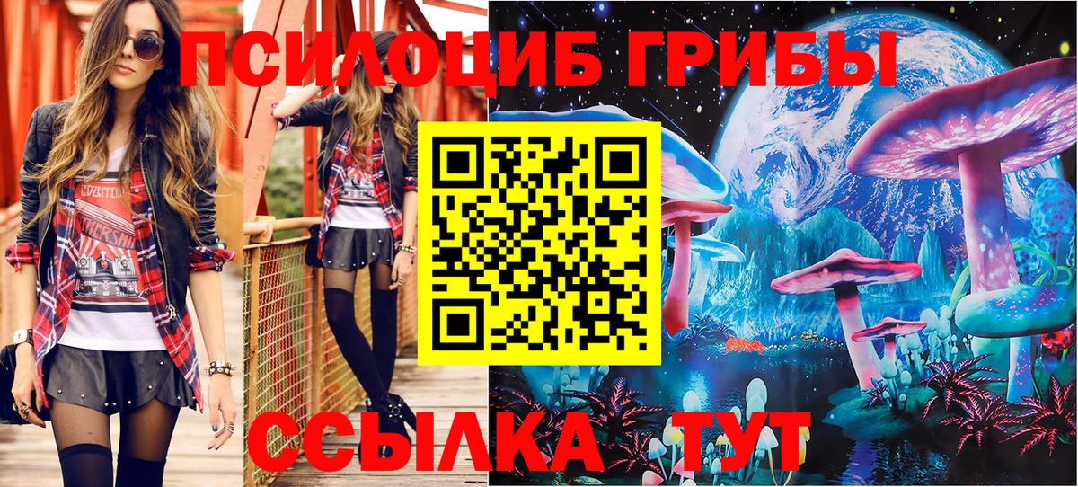 Галлюциногенные грибы Psilocybine cubensis Нерюнгри